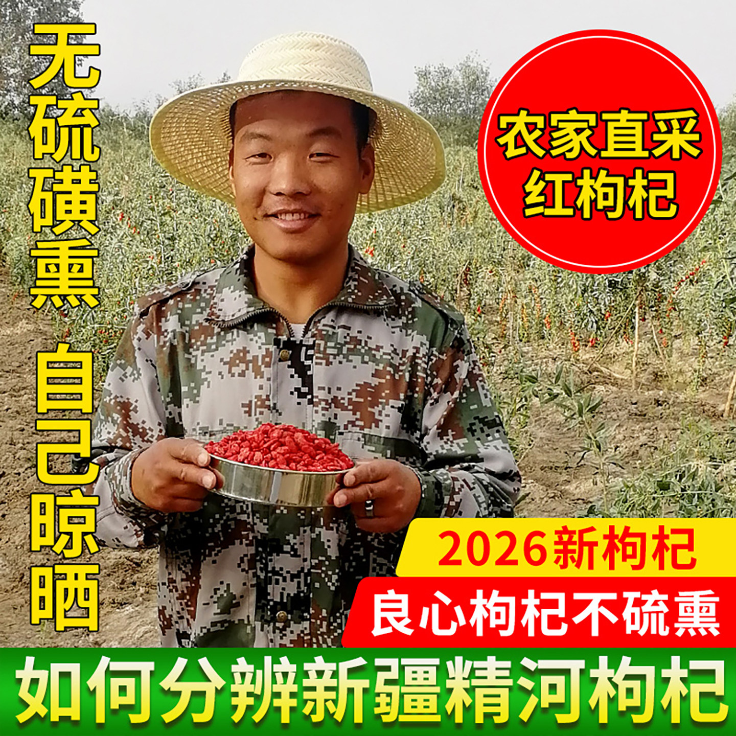 红枸杞子新疆精河特产头茬大果干果非宁夏青海红枸杞