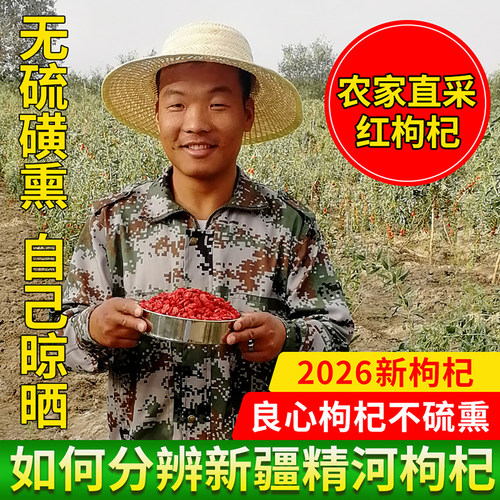 红枸杞新疆精河枸杞子非宁夏青海