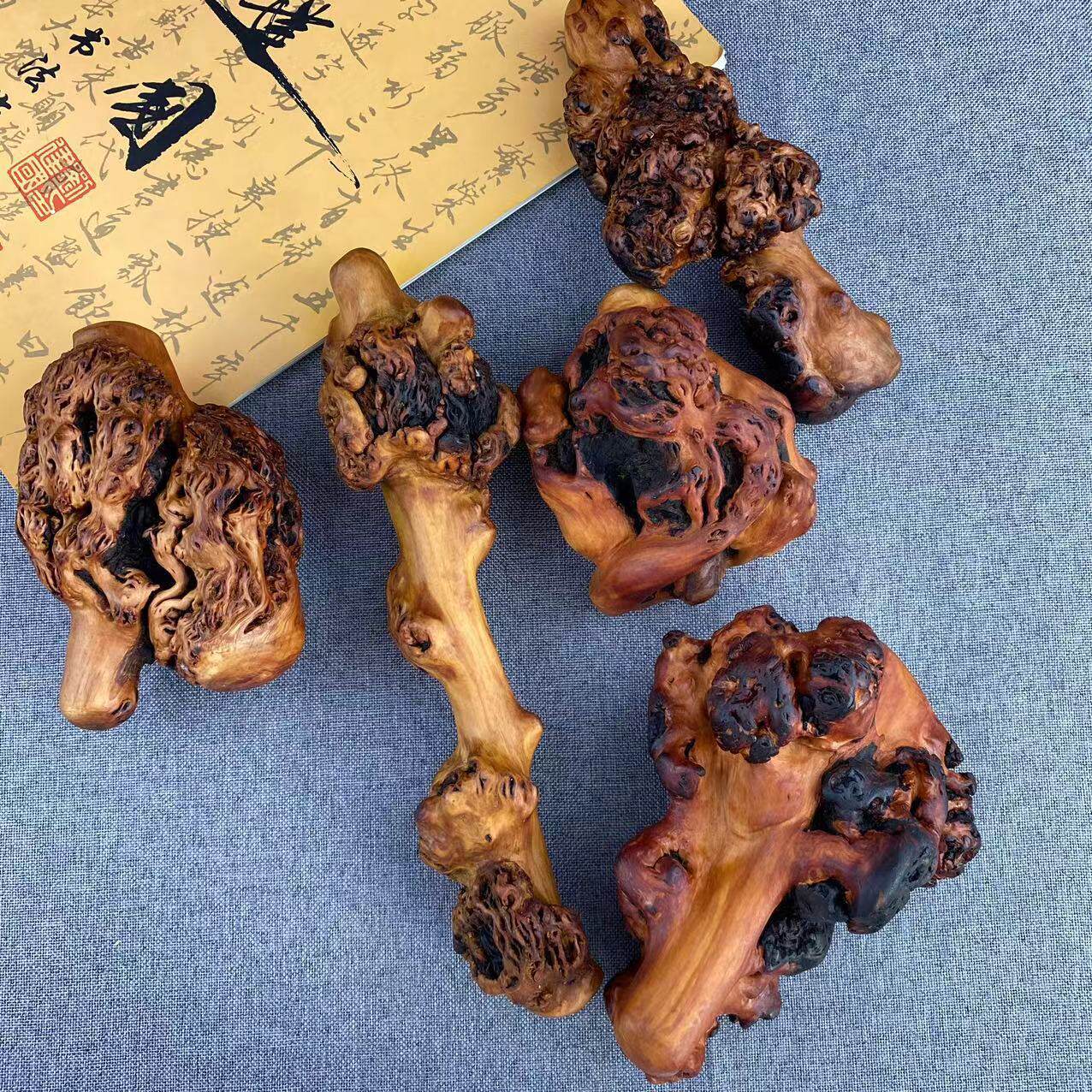 山茶木手把件麻梨疙瘩手把件 木制手把件黑果木手把件 随行根雕