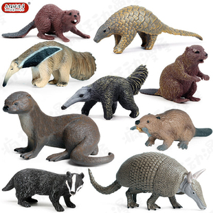仿真野生动物模型袋獾河狸水獭穿山甲犰狳背崽食蚁兽玩具家居摆件