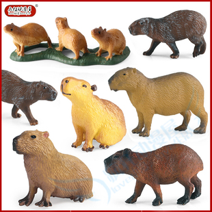 仿真野生动物模型水豚卡皮巴拉土豚坐獴儿童科教认知玩具场景摆件