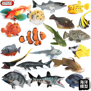 仿真海洋动物模型食人鱼鲶鱼神仙鱼绸鱼绿鳍鱼中华鲟儿童玩具摆件