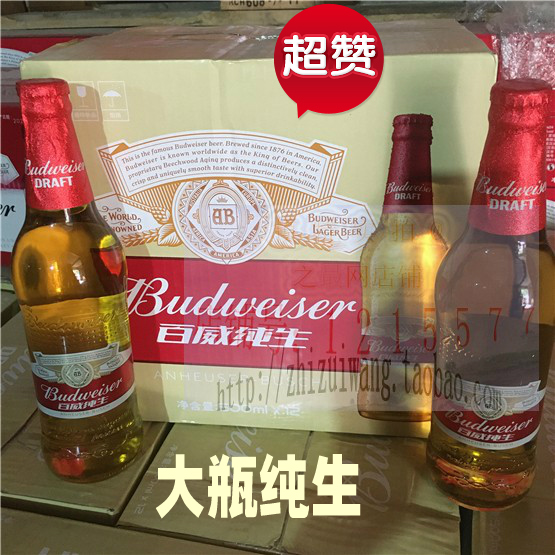 百威纯生啤酒500ml*12瓶 玻璃瓶餐饮聚会宴请8度小麦啤酒郑州四环