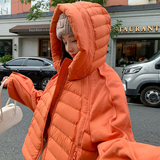 25现货排骨款新标90白鸭绒假两件羽绒服女282-25083-P270-K415，女装羽绒服，浙宝282