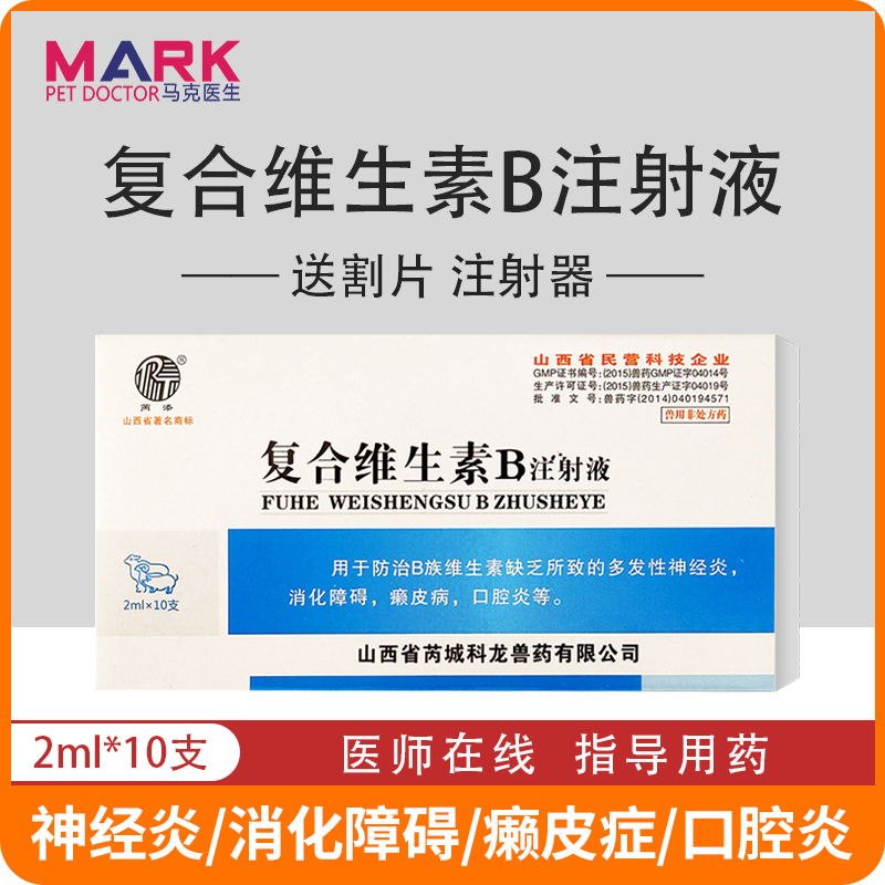 复合维生素B注射液癞皮病口腔炎