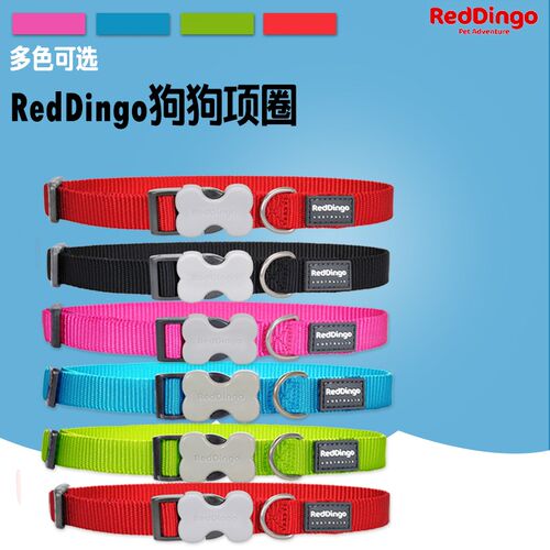 reddingo狗狗项圈泰迪中大型犬