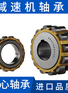 整体减速机偏心轴承套摇摆RN307 206 309加厚不散架206进口品质