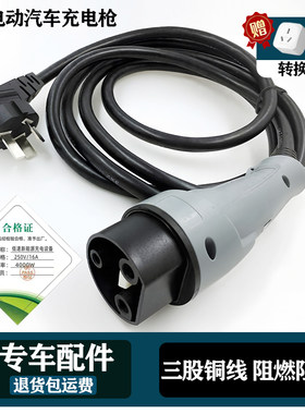 今日阳光款琳琅美迪和讯m1M2四轮电动汽车充电线充电枪充电器原装