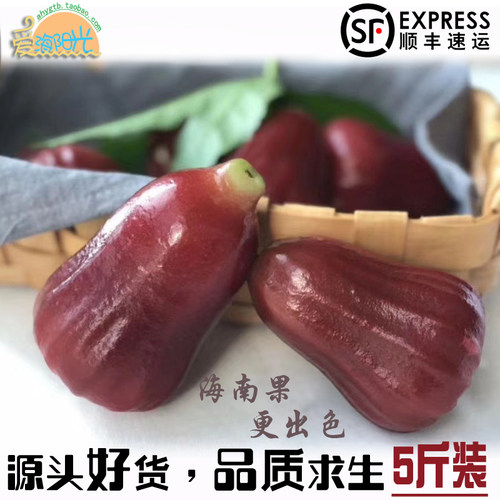 海南黑金刚莲雾新鲜现摘现发空运
