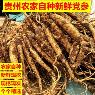 贵州土特产高山新鲜党参威宁党参产地直发煲汤现挖现发新鲜蔬菜