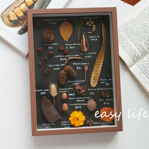 植物标本装饰画手工家居摆件