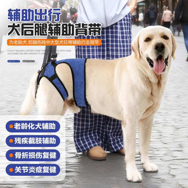 新款宠物狗狗残疾后腿辅助老年犬大龄狗后肢辅助受伤束腰康复背带