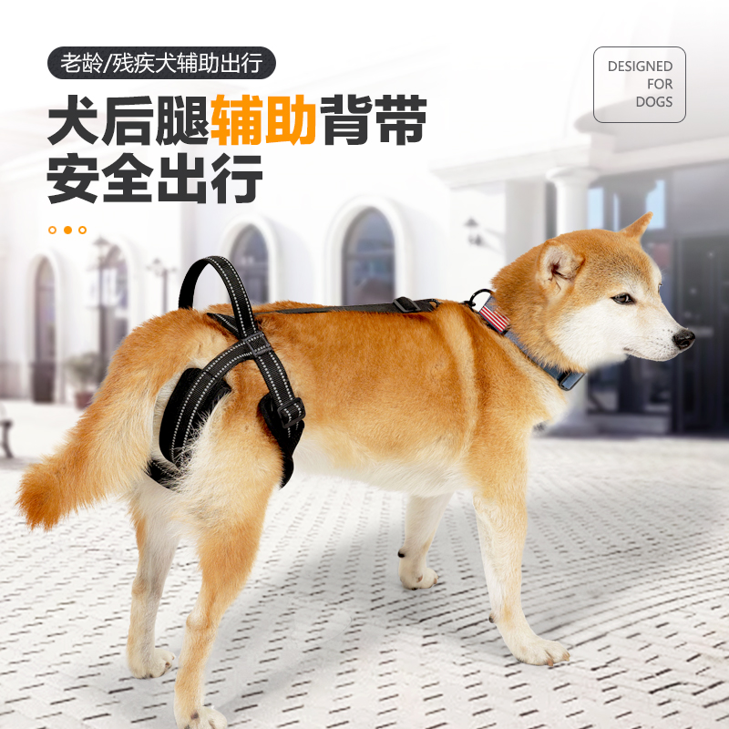 狗后腿辅助带残疾老年犬后肢康复