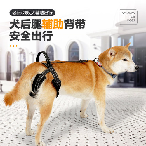 狗后腿辅助带残疾老年犬后肢康复