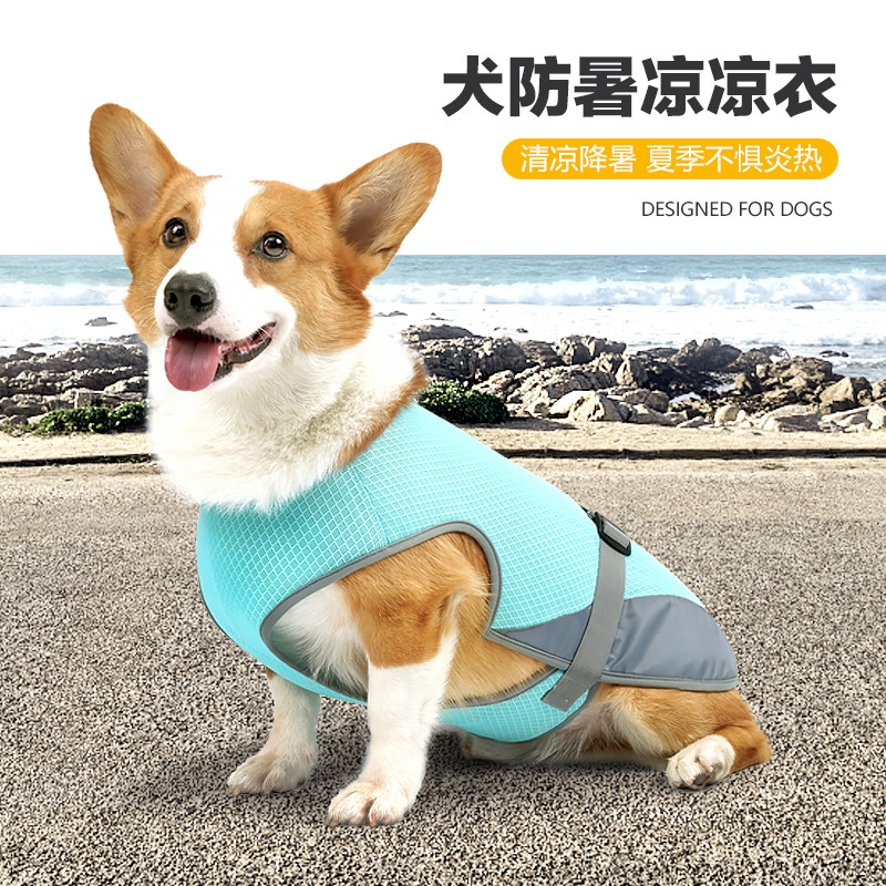 夏天宠物狗狗衣服小型犬狗狗凉凉衣薄款家用短袖防水冰丝防舔防咬