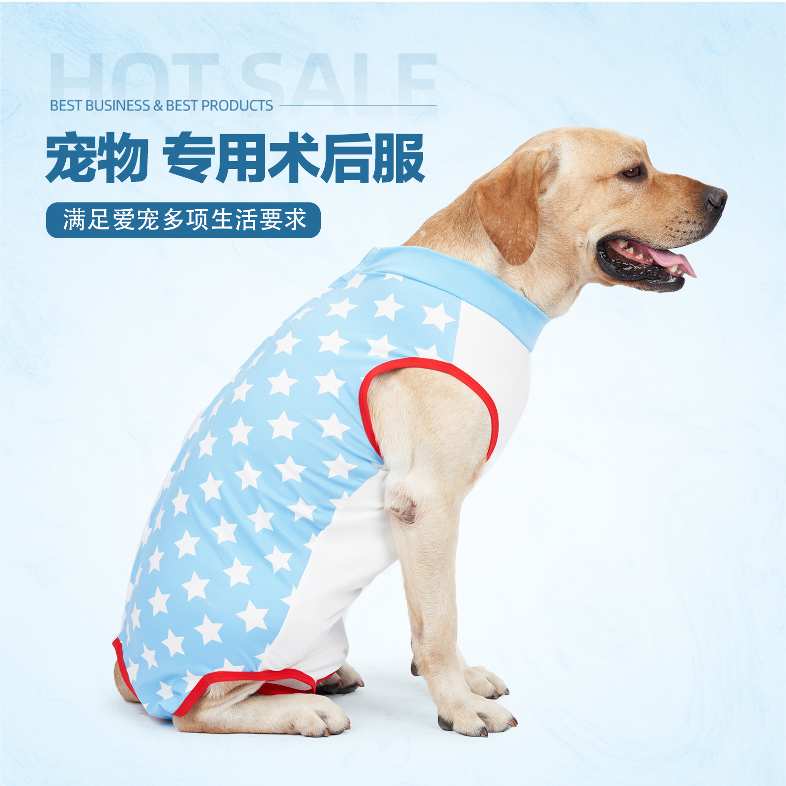 狗衣服小中大型犬绝育术后防舔舐