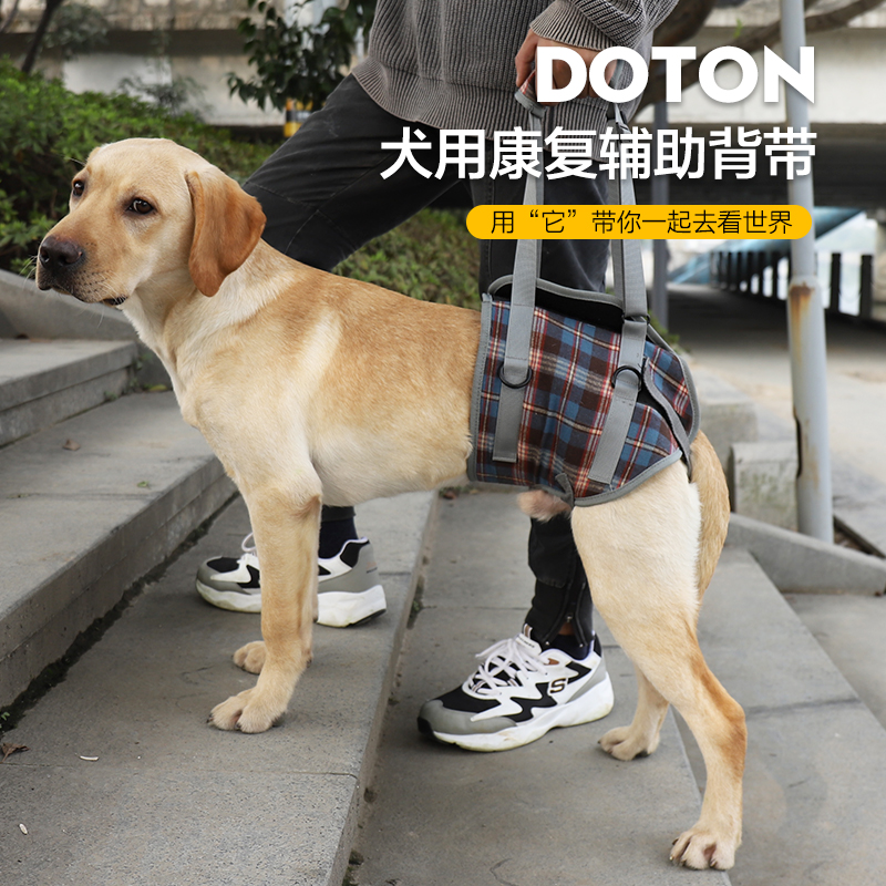 狗狗用品老年狗辅助胸背带站立