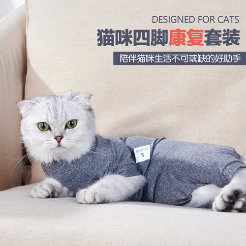 道顿猫咪四脚服牵引家居服术后服