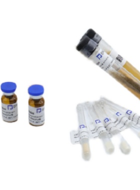 粪肠球菌Enterococcus faecalis（编号：BNCC364174）