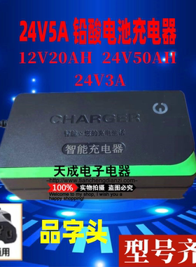 12V20A安毛绒电瓶车咪咪碰碰车坦克摩托充电器24V50AH乐吧车配件