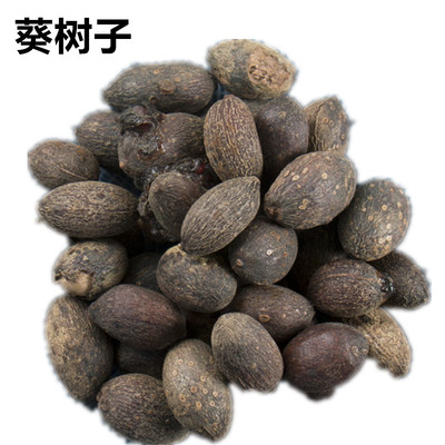 葵树子500克 葵树果籽 葵树籽 葵扇籽 蒲葵籽 蒲葵子 吾非中药材