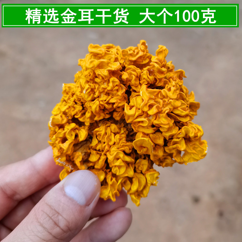 精品大个云南金耳干货菌菇100克