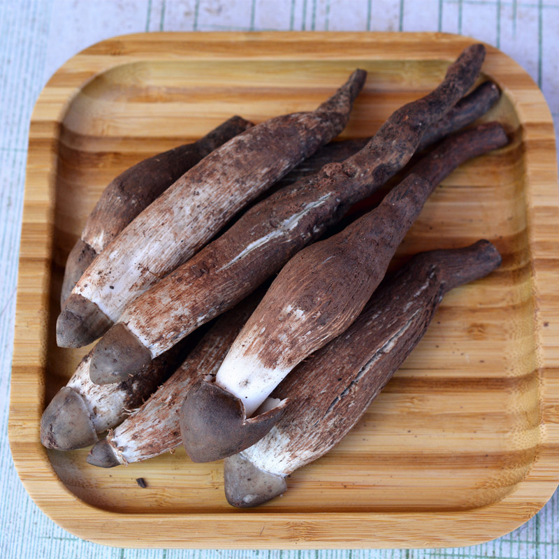 新鲜野生鸡枞菌鸡棕云南野山菌菇