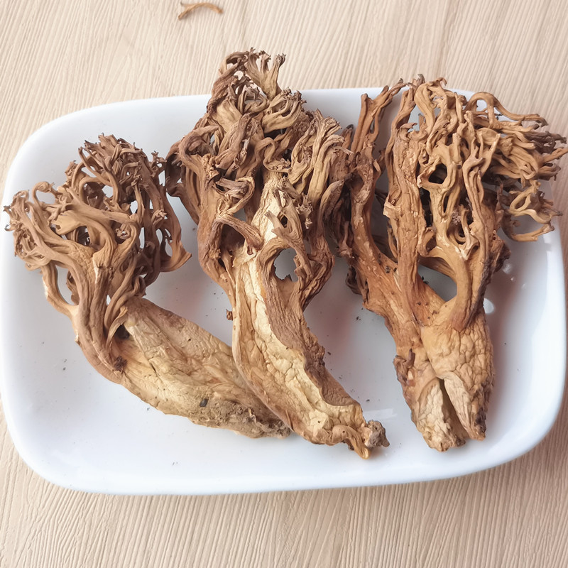 野生珊瑚菌干货 扫把菌刷把菌云南丽江土特产蘑菇 鲜甜爽口适合炒