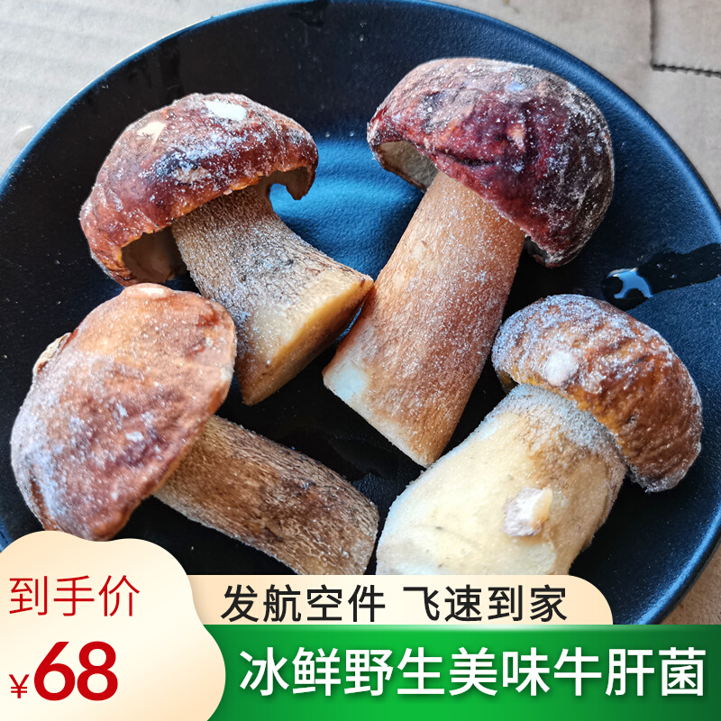新鲜野生美味牛肝菌速冻白牛肝云南楚雄土特产蘑菇野生菌火锅食材