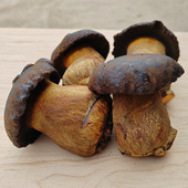 现货新鲜黑牛肝菌大个云南楚雄特产蘑菇500克非野生 损坏包赔 包邮