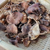 味道香浓 纯野生香菇干货香蕈香信云南丽江土特产菌类 散装 煲汤好