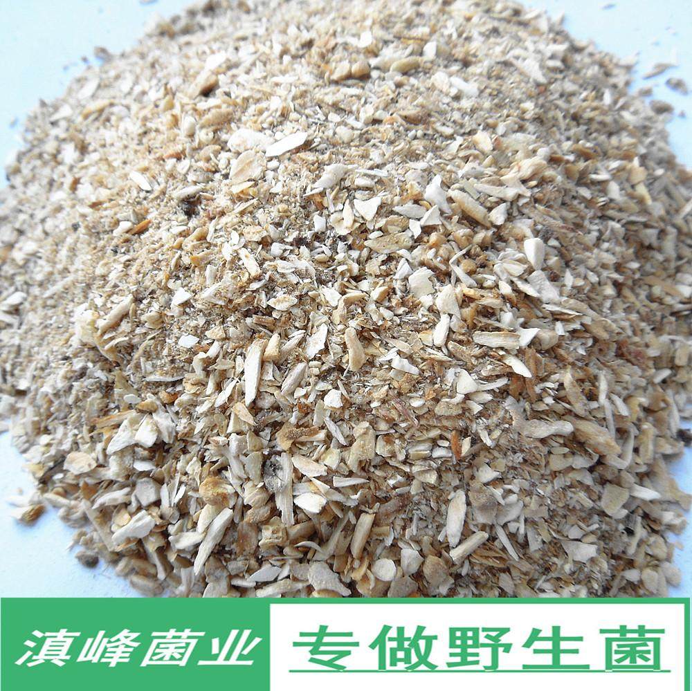 冻干野生松茸菌纯菌粉干货 云南香格里拉土特产野山蘑菇 煲汤很鲜