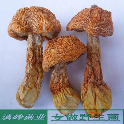新货巴西蘑菇丽江特产姬松茸干货
