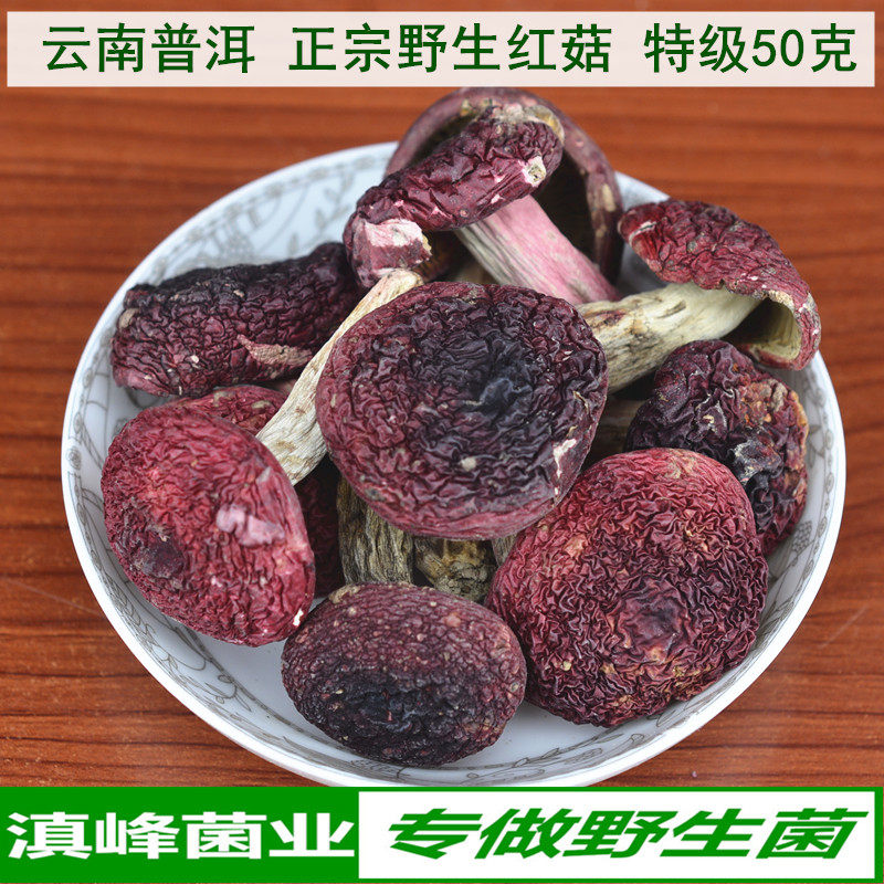 正宗野生红菇干货精选中菇大红菌红椎菌云南普洱土特产煲汤鲜50克
