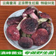 正宗野生红菇干货精选中菇大红菌红椎菌云南普洱土特产煲汤鲜50克