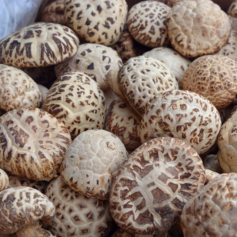 上品花菇干货大白花云南土特产蘑菇野生椴木栽培菌大个精选香菇类