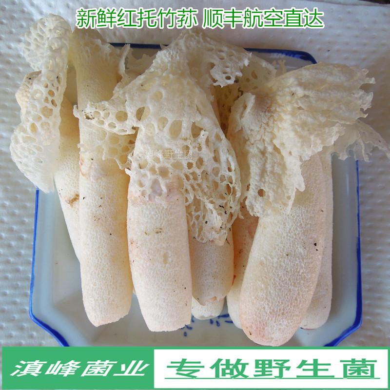竹笙蛋鲜美新鲜短裙红托竹荪菌菇