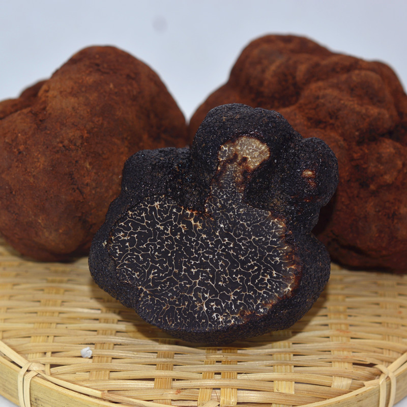 云南新鲜野生黑松露大个成熟黑色