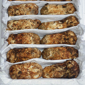 原皮新鲜野生松茸菌冰鲜冷冻云南香格里拉特产野山菌蘑菇顺丰包邮