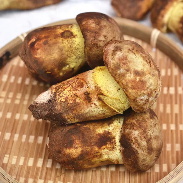 Товары от 滇峰菌业野生菌批发