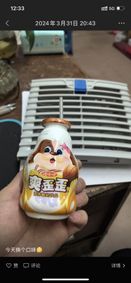 SK 3239.100 SK3239.110 SK.3139.100 SK3239.600 原装过滤器风扇