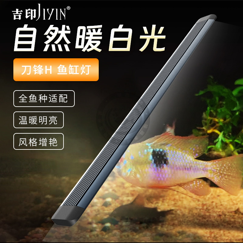印南美缸造景专用灯原生缸图片