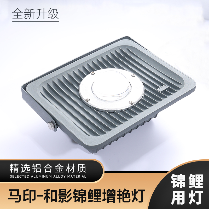 马印锦锂灯特价增艳引色