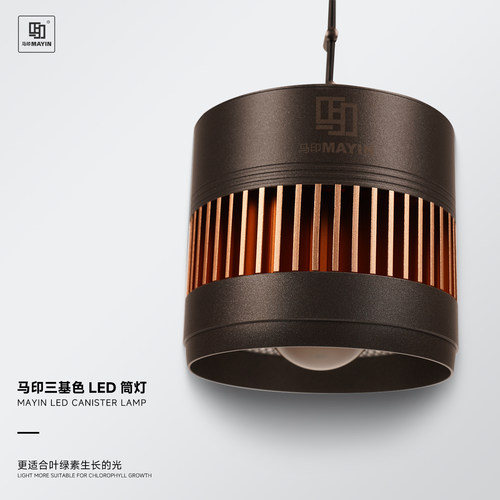 马印神灯筒灯增艳灯led爆藻