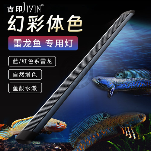 吉印雷龙鱼缸led灯防水月光蓝落日红发色灯专用蓝白鱼缸灯增艳灯
