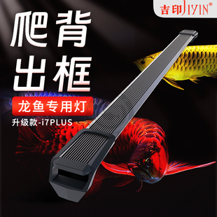 吉印i7Plus龙鱼专用灯红龙鱼发色灯金龙观赏鱼缸增艳色rgb专业灯