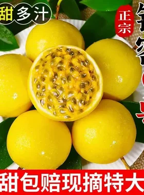 广西钦蜜9号黄金百香果现摘纯甜