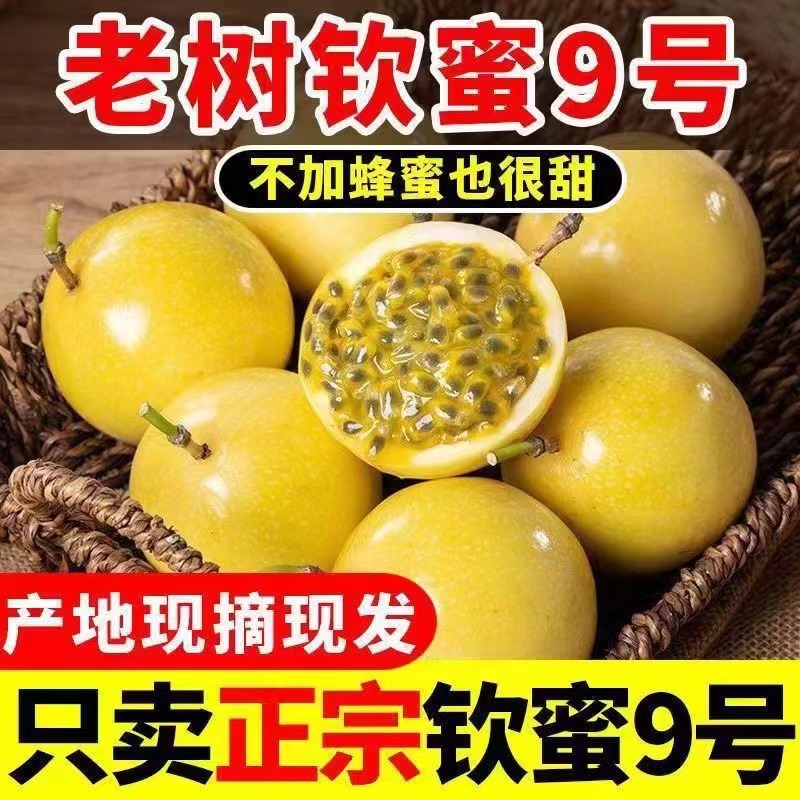【现摘现发】广西钦蜜9号黄金百香果特大5斤新鲜当季水果无酸纯甜