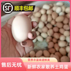 顺丰包邮正宗苏北农家散养草鸡蛋土鸡蛋林地散放草鸡蛋营养丰富
