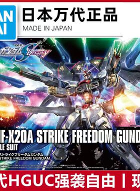 万代 HG HGUC HGCE 201 1/144 SF 强袭自由高达新生 拼装模型正品